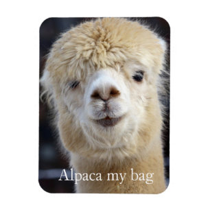 Cute Alpaca face Magnet