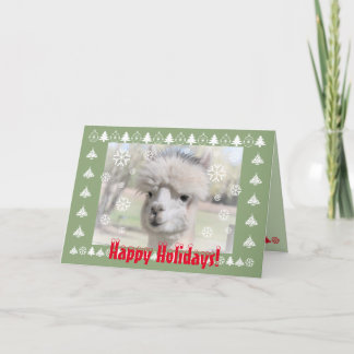 Cute Alpaca Happy Holiday Card