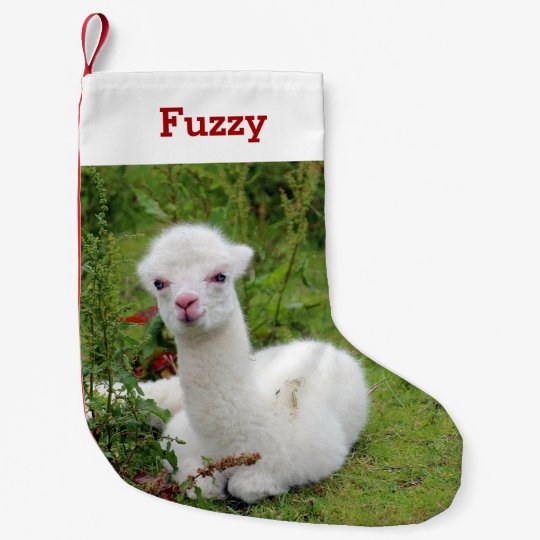 Cute Alpaca Lover Pet Photo And Name Personalised Small Christmas Stocking Zazzle Co Uk