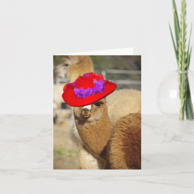 Cute Alpaca Note Cards (Front)