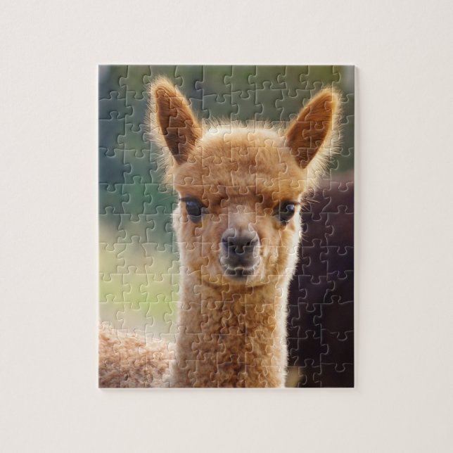 Cute Alpaca Puzzle (Vertical)
