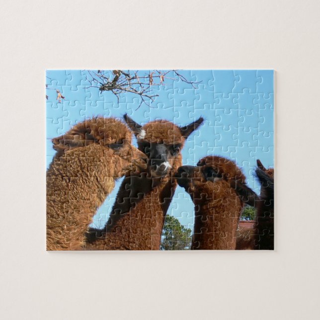 Cute Alpaca Puzzles with Gift Box (Horizontal)