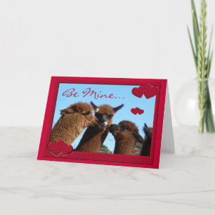 Cute Alpaca Valentines Day Greeting Card