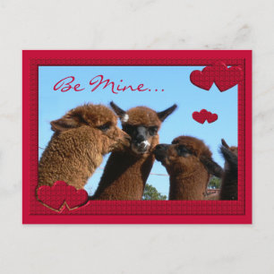 Cute Alpaca Valentines Day Postcard