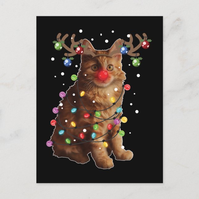 Cute American Bobtail Cat Christmas Holiday Gifts Postcard (Front)