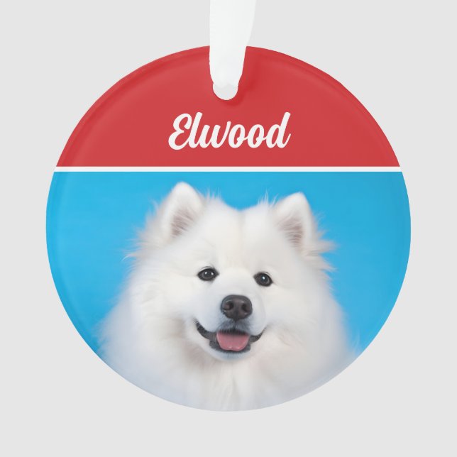 Cute American Eskimo Dog Holiday Christmas Photo Ornament (Front)
