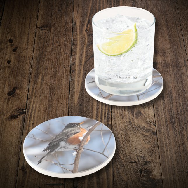 Cute American Robin Sits on Snowy Branch in Winter Coaster (If Dad is a birder, celebrate his hobby with this coaster that makes a unique Father's Day gift.)