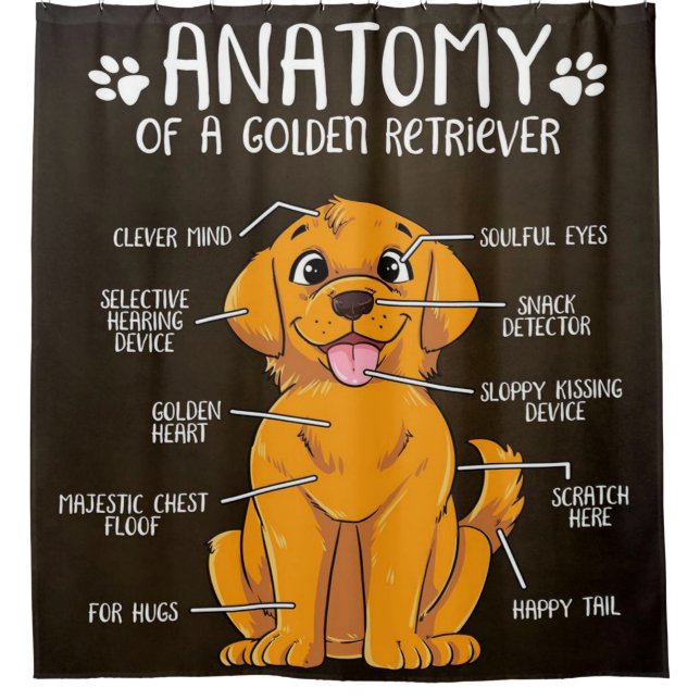 Cute Anatomy Golden Retriever Dog Lover Shower Curtain (Front)