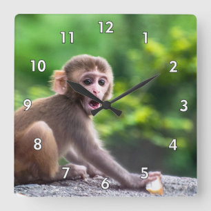 Cute and Adorable Baby Monkey Square Wall Clock