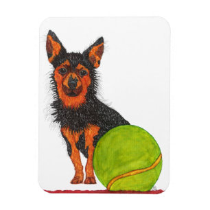 Cute and Adorable Chorkie Dog Magnet 3"x4"