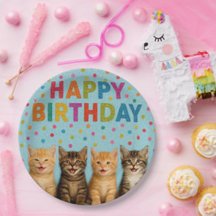 Cute and colorful cat birthday paper plates. plate