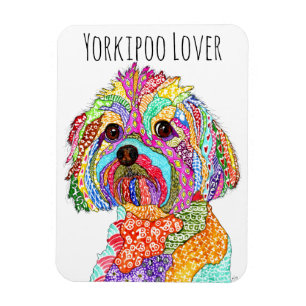 Cute and Colorful Yorkipoo Dog Magnet 3"x4"