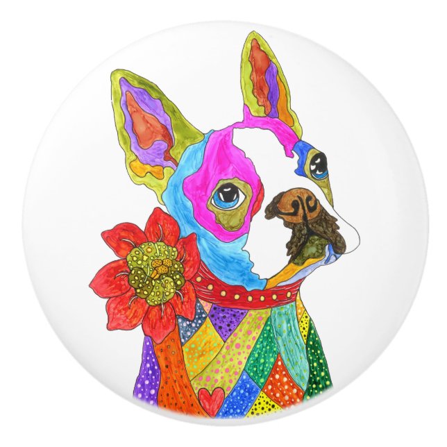 Cute and Colourful Boston Terrier Door Knob (Front)
