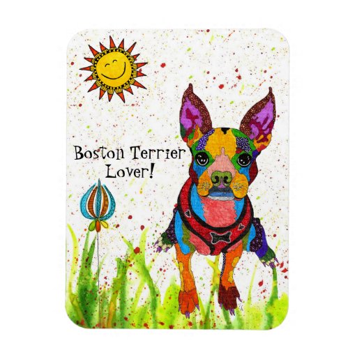 Image of Cute and Colourful Boston Terrier Magnet