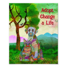 Cute and Colourful Dog and Cat Adoption