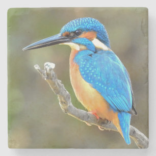 Cute and Colourful Kingfisher or Alcedinidae Bird Stone Coaster