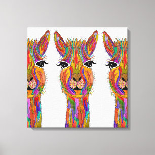 Cute and Colourful Llama Canvas - 20" x 20"