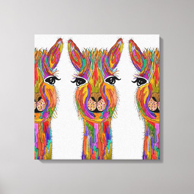 Cute and Colourful Llama Canvas - 20" x 20" (Front)