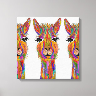 Cute and Colourful Llama Canvas - 20" x 20" Print