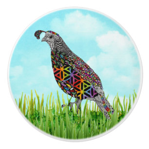 Cute and Colourful Mountain Quail Door Knob