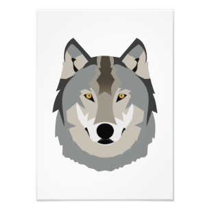 Cute and Cool Grey Wolf Face, Illustrated Animal Photo Print