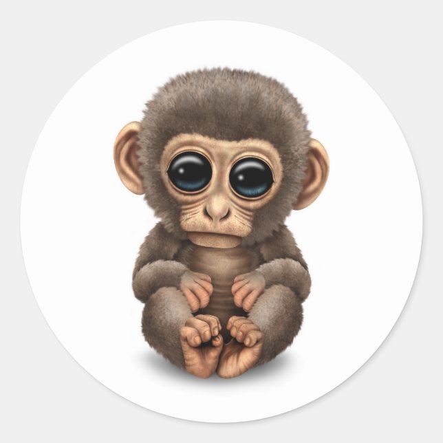 Cute and Curious Baby Monkey on White Classic Round Sticker (Front)