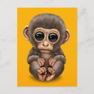 Cute and Curious Baby Monkey on Yellow Postcard