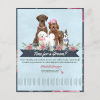 Cute and Fun Puppy Grooming Poster for Dog Groomer