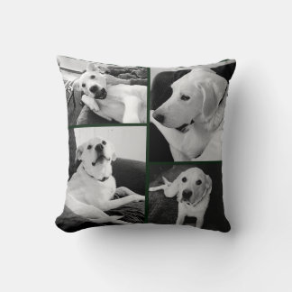 Cute and Funny Black and White Dog Photos Green Cushion