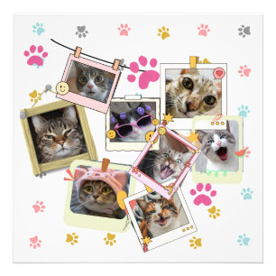 Cute and funny cat collage design photo print