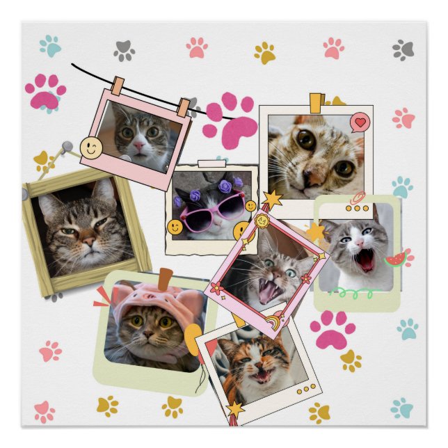 Cute and funny cat collage design  poster (Front)
