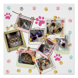 Cute and funny cat collage design  poster