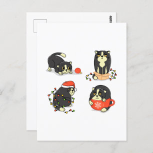 Cute and Funny Christmas Cats Postcard