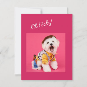 Cute and funny dressed maltese card