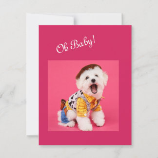 Cute and funny dressed maltese     card