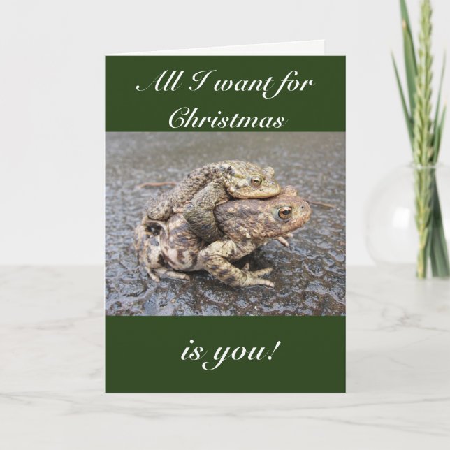 Cute and funny frog/toad Christmas greeting card! Holiday Card (Front)