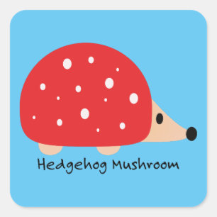 Cute and Funny Hedgehog Mushroom Square Sticker