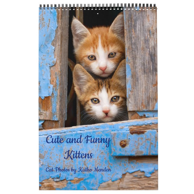 Cute and Funny Kittens Cat Photo Calendar (Cover)
