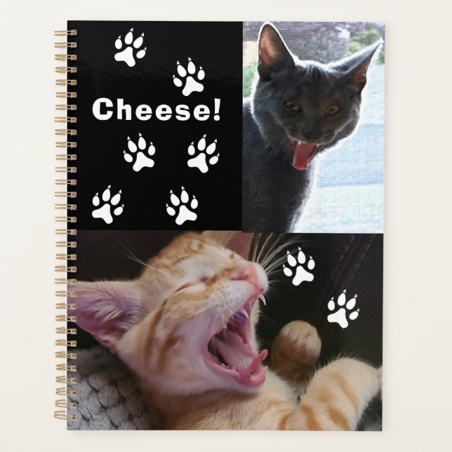 Cute and Funny Laughing Cats  Planner (Front)