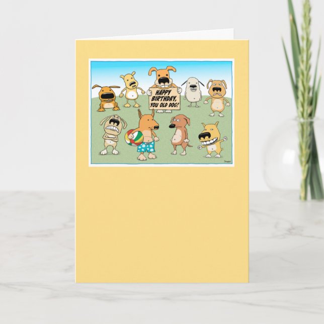 Cute and Funny Old Dog Birthday Card (Front)