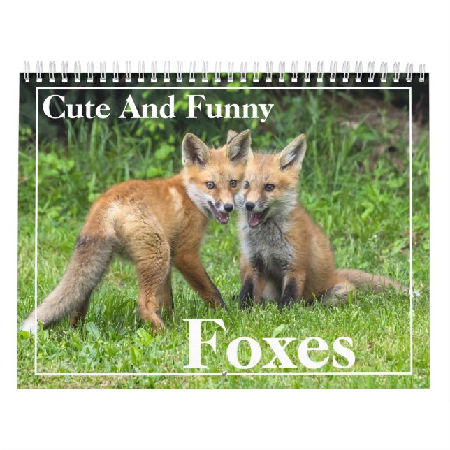Cute And Funny Red Foxes Calendar (Cover)