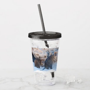 Cute and happy Quokka on the beach in Australia Acrylic Tumbler