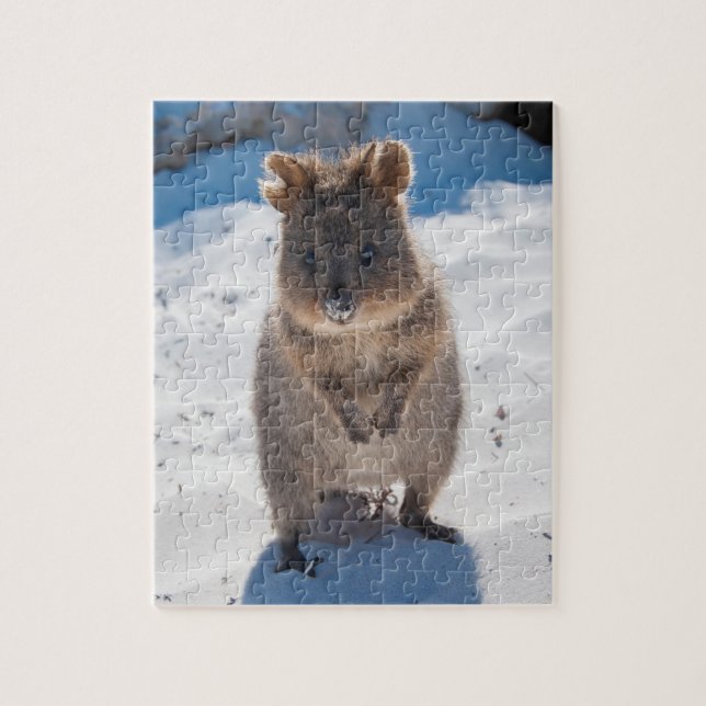 Cute and happy Quokka on the beach in Australia Jigsaw Puzzle (Vertical)