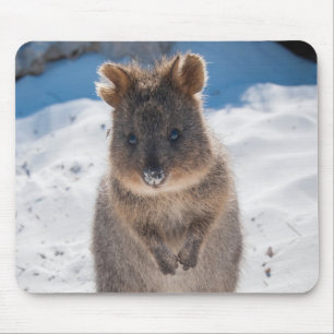 Cute and happy Quokka on the beach in Australia Mouse Mat