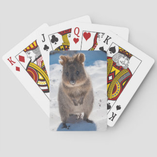 Cute and happy quokka on the beach in Australia Playing Cards