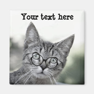 Cute and Surprised Cat with Glasses Magnet