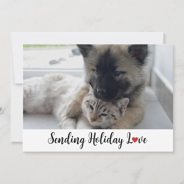 Cute and Sweet Puppies Sending Holiday Love Card (Front)