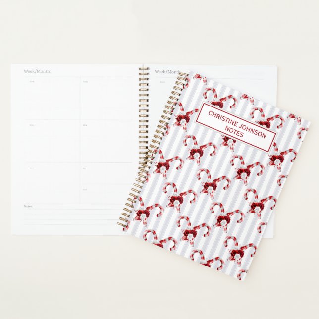 Cute and Whimsical Candy Cane Planner (Display)