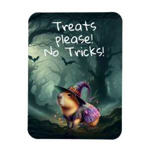 Cute and Witchy Halloween Capybara  Magnet