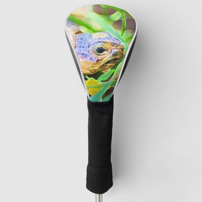 Cute Angulate Tortoise South Africa Details Golf Head Cover (Front)